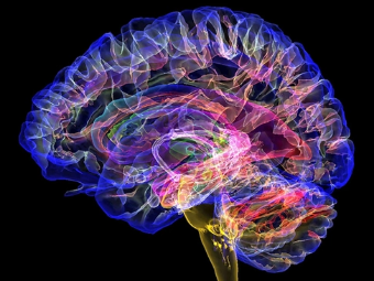 操逼AV浪潮大脑植入物有助于严重头部损伤恢复